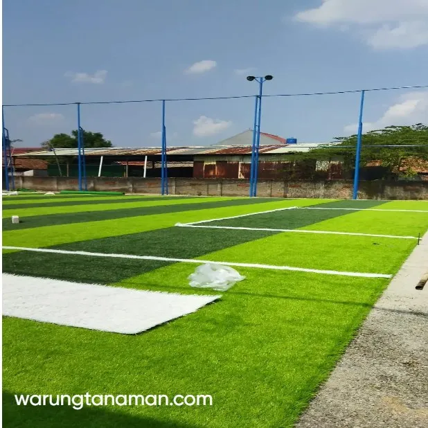 kontraktor lapangan futsal